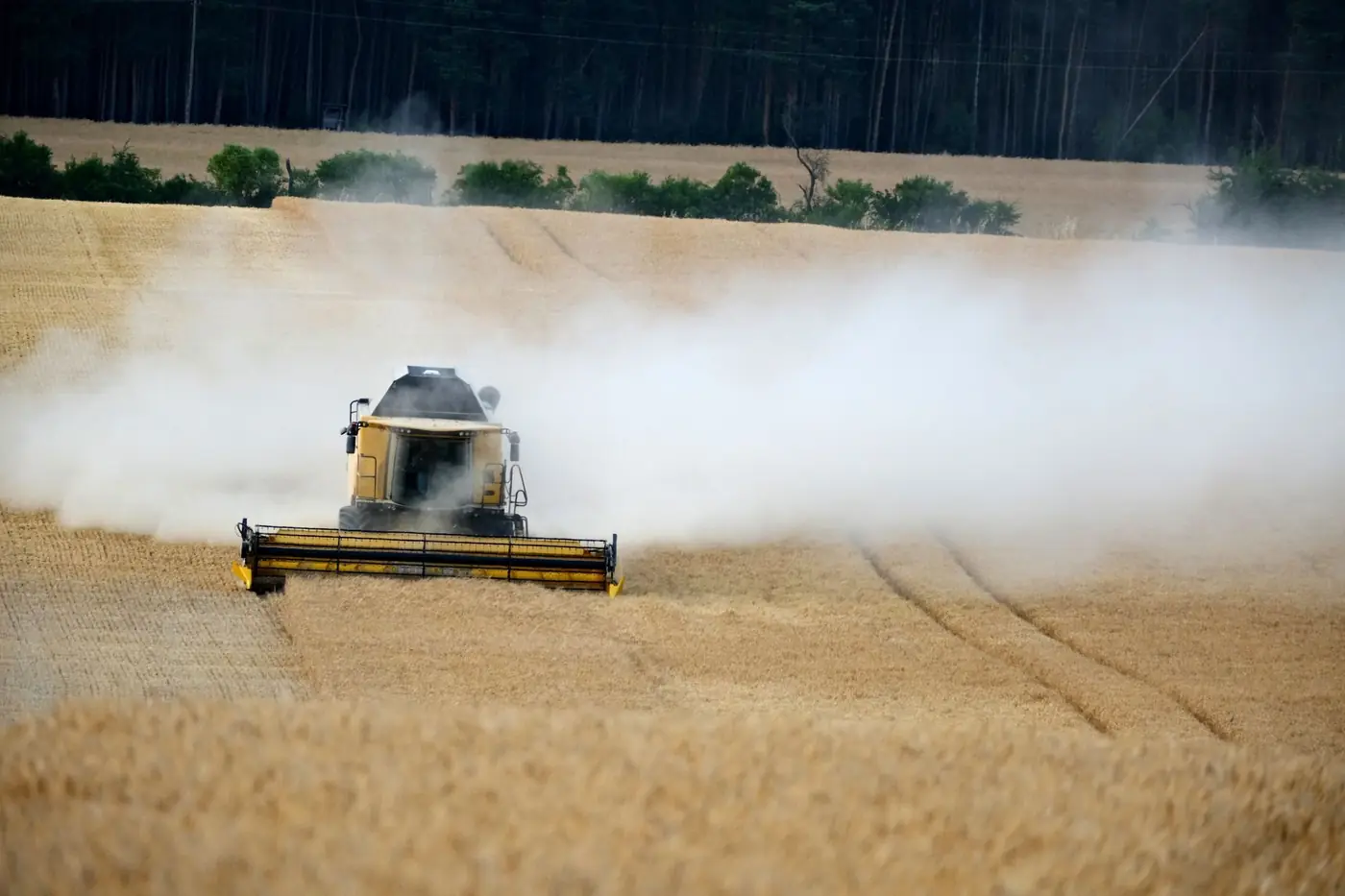 Agricoltura
